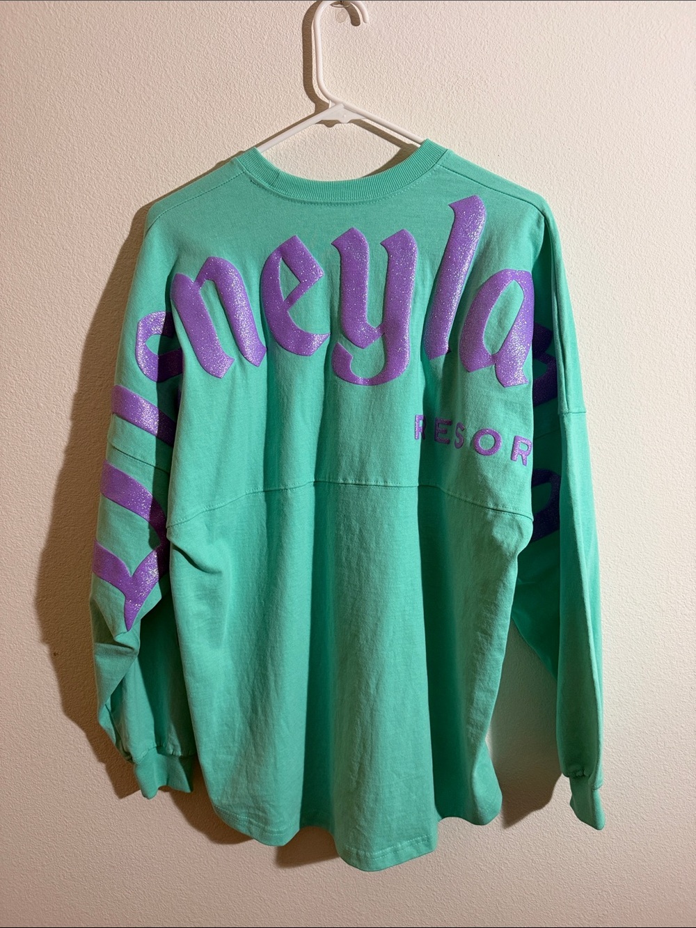 Disney Disneyland Blue and Purple Spirit Jersey for Adults size small - Picture 6 of 12